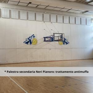 Palestra Vincenzo Neri