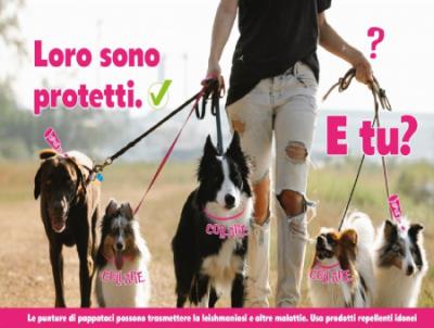 Protetti dalla Leishmania foto 